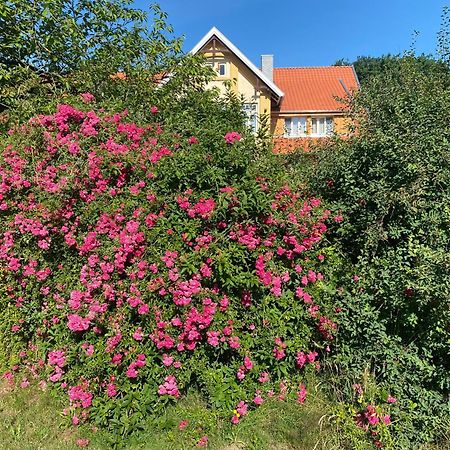 Neulandhof Spöring Lägenhet Walsrode Exteriör bild